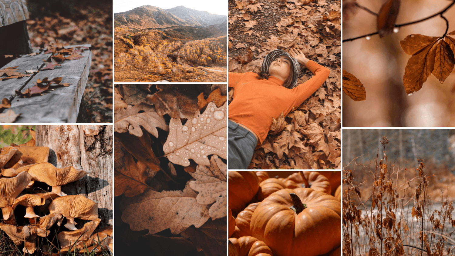 5 Ways to Prepare for Fall - HALFTEE Layering Fashions