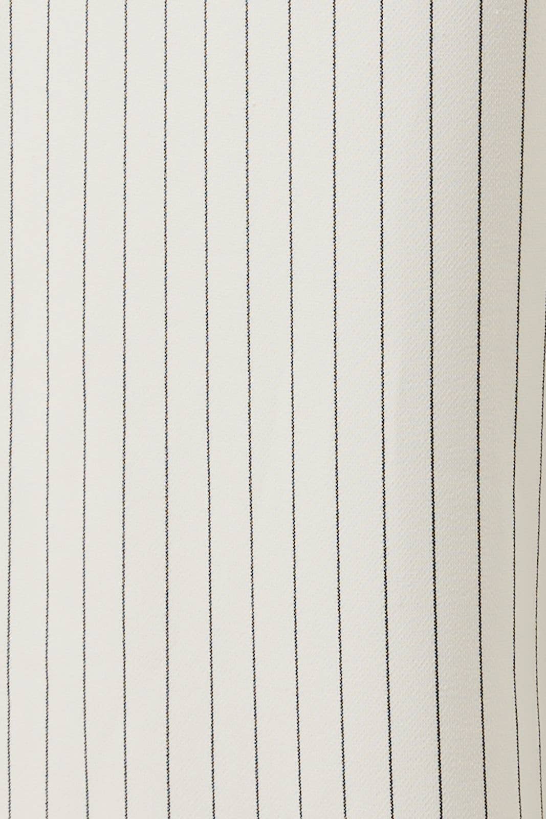 Stripe Pleated Trouser