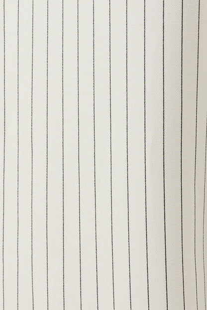 Stripe Pleated Trouser