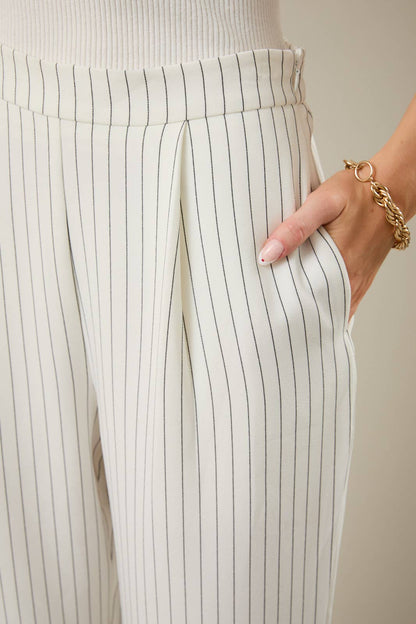 Stripe Pleated Trouser