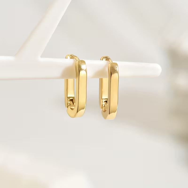 Stunning Earrings