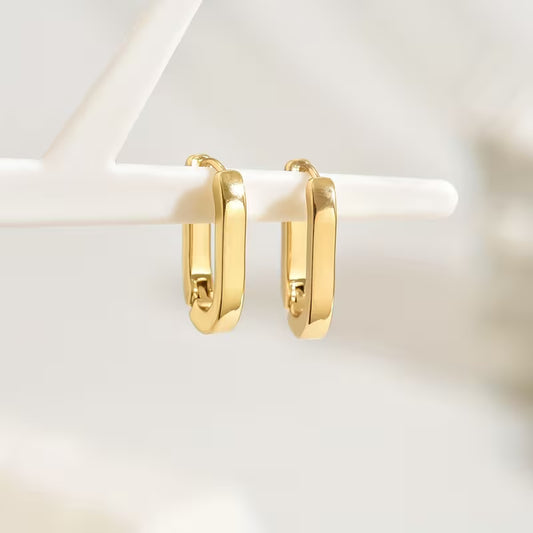Stunning Earrings