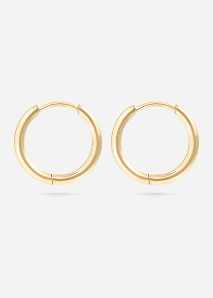 Stunning Earrings